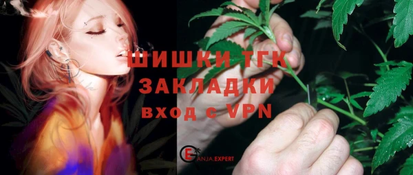 шишки Богородицк