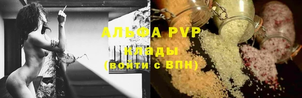 спиды Богданович