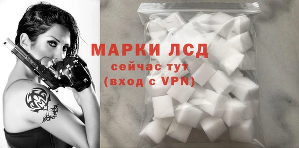 спиды Богданович