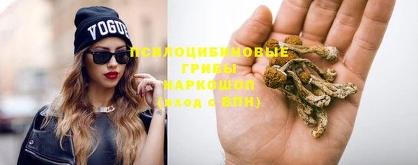 спиды Богданович