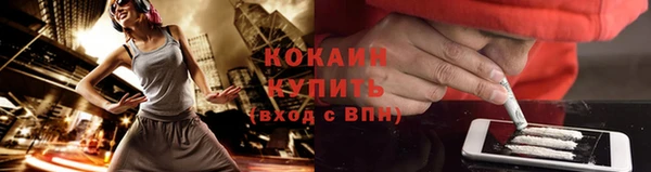 шишки Богородицк