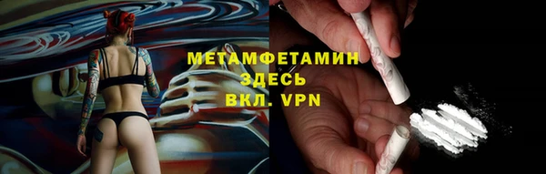 шишки Богородицк