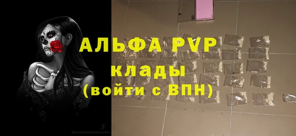 спиды Богданович