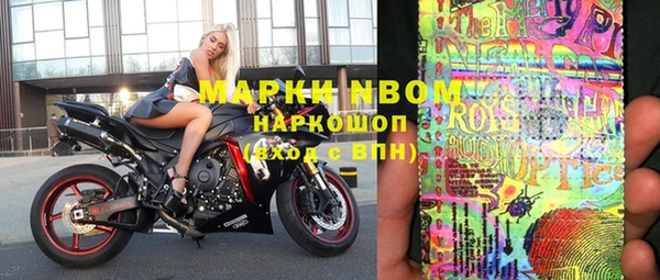 шишки Богородицк