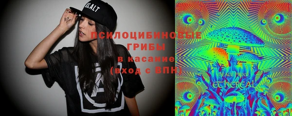 спиды Богданович