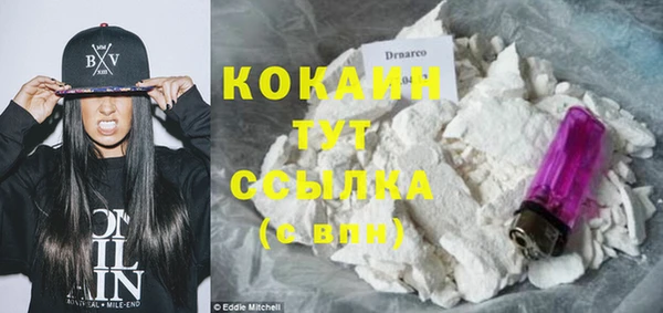 дурь Бронницы