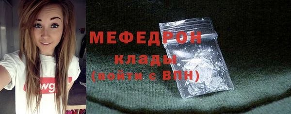 шишки Богородицк