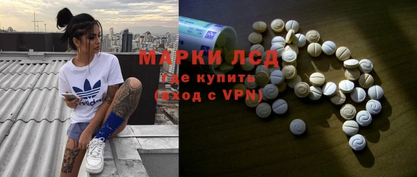 спиды Зеленокумск